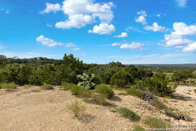 Image 45 of 46 For 673 Travis Forest