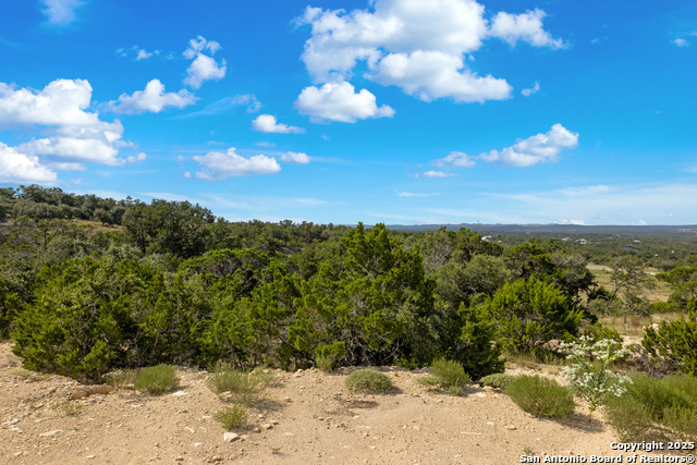 Image 46 of 46 For 673 Travis Forest