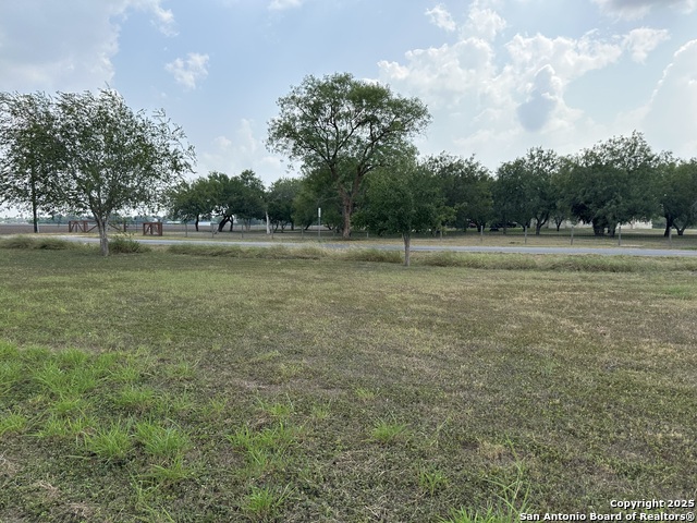 Image 2 of 6 For 2002 Tamm S