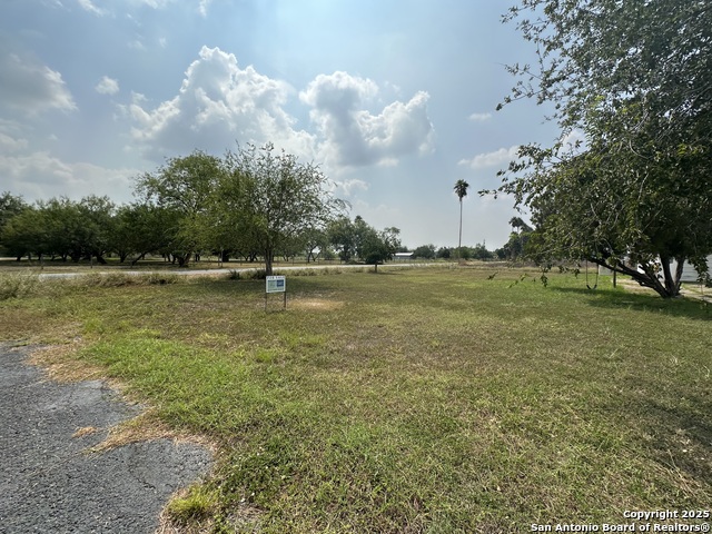 Image 3 of 6 For 2002 Tamm S