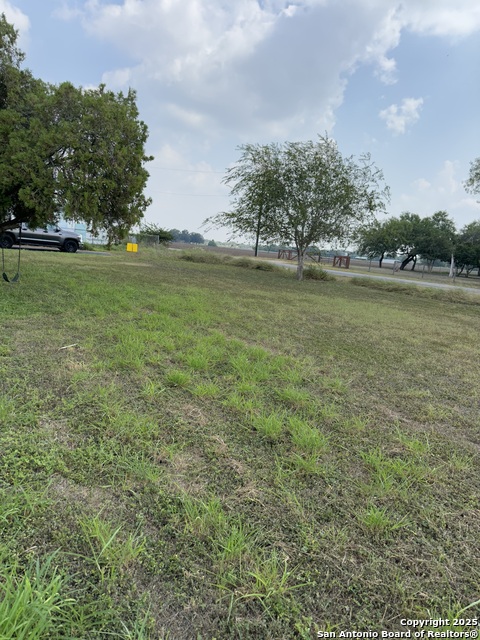 Image 4 of 6 For 2002 Tamm S