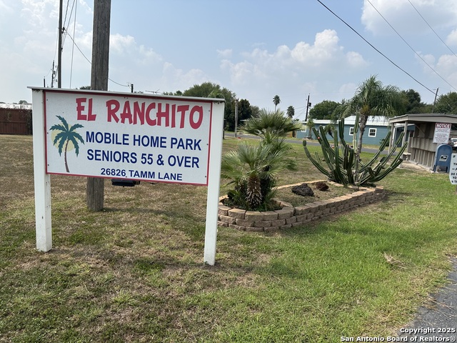 Image 6 of 6 For 2002 Tamm S