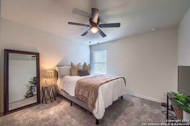 Listing photo id 24 for 6522 Cibolo Springs