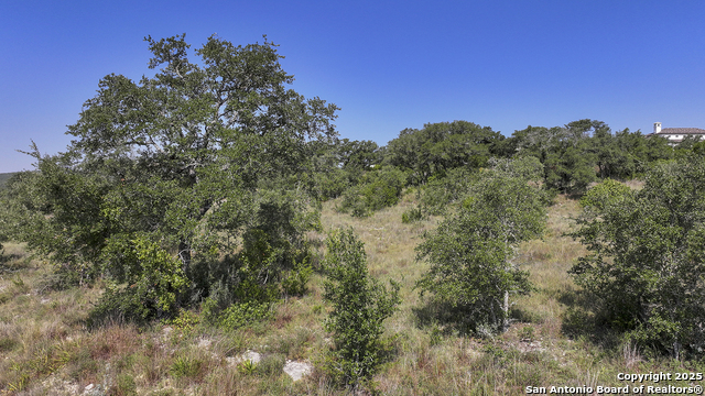 Listing photo id 23 for 25811 Morhiss Point