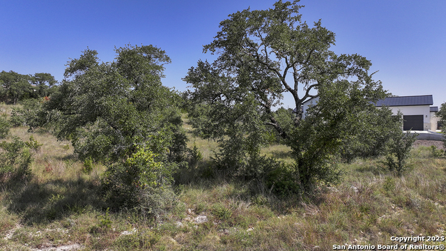 Listing photo id 24 for 25811 Morhiss Point