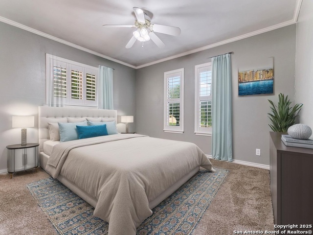 Image 15 of 25 For 249 Ralston Dr