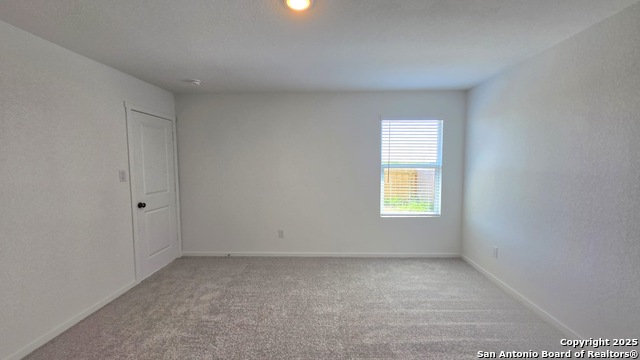 Image 11 of 17 For 3605 Swift Fox