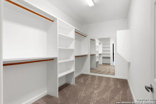 Image 17 of 27 For 310 Shayla