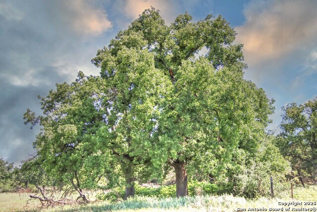 Details for Tbd Rm 1323  , Willow City, TX 78675