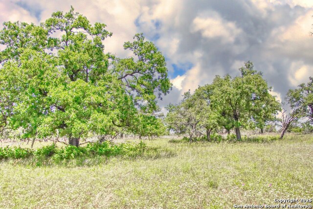 Image 10 of 13 For Tbd Rm 1323