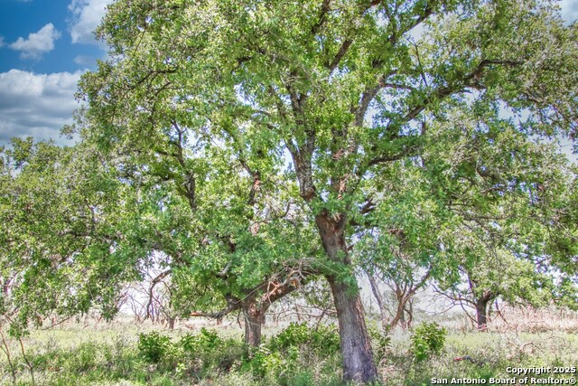 Image 12 of 13 For Tbd Rm 1323