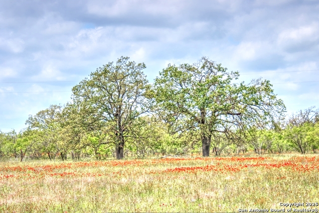 Image 2 of 13 For Tbd Rm 1323