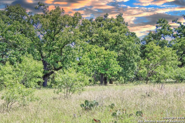 Image 6 of 13 For Tbd Rm 1323