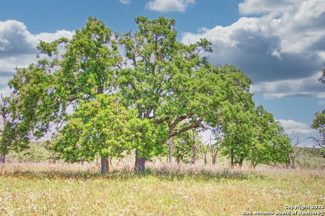 Image 8 of 13 For Tbd Rm 1323