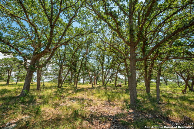 Image 14 of 38 For Tbd Hwy 337  