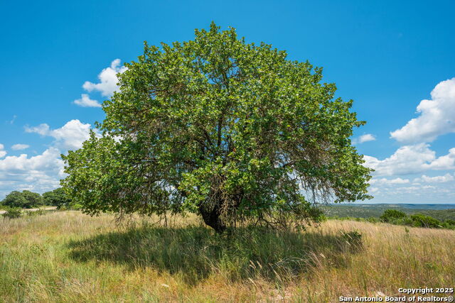 Image 16 of 38 For Tbd Hwy 337  