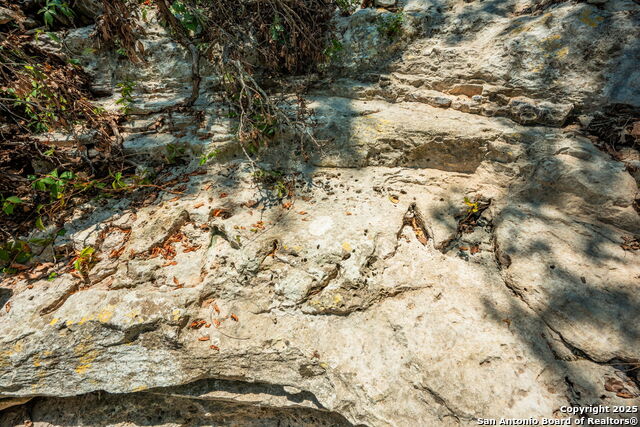 Image 19 of 38 For Tbd Hwy 337  