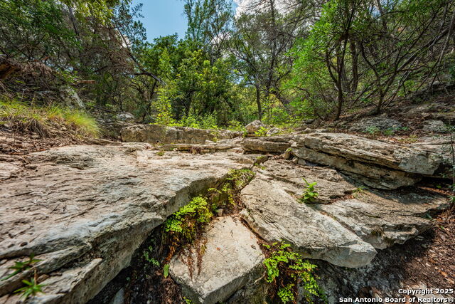 Image 21 of 38 For Tbd Hwy 337  