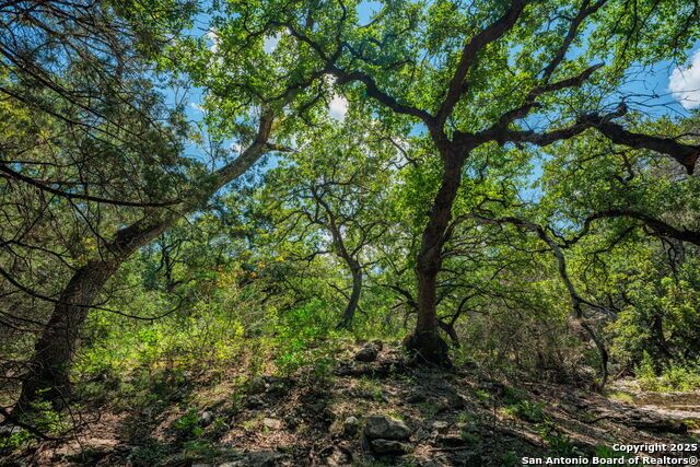 Image 22 of 38 For Tbd Hwy 337  