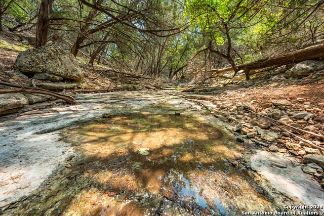 Image 24 of 38 For Tbd Hwy 337  