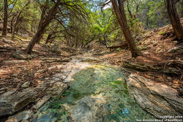 Image 25 of 38 For Tbd Hwy 337  