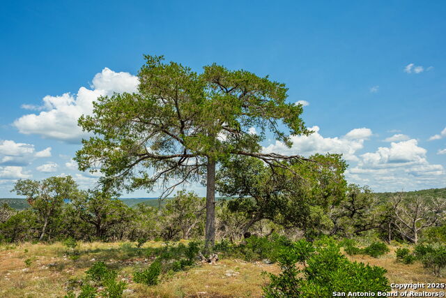 Image 28 of 38 For Tbd Hwy 337  