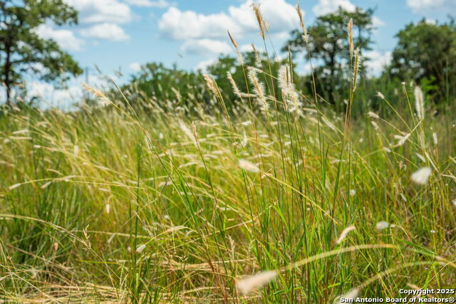 Image 37 of 38 For Tbd Hwy 337  