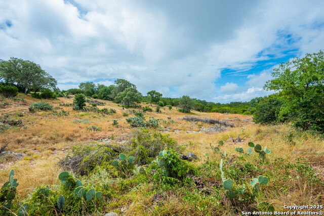 Image 10 of 47 For 485 Mitchell Ranch