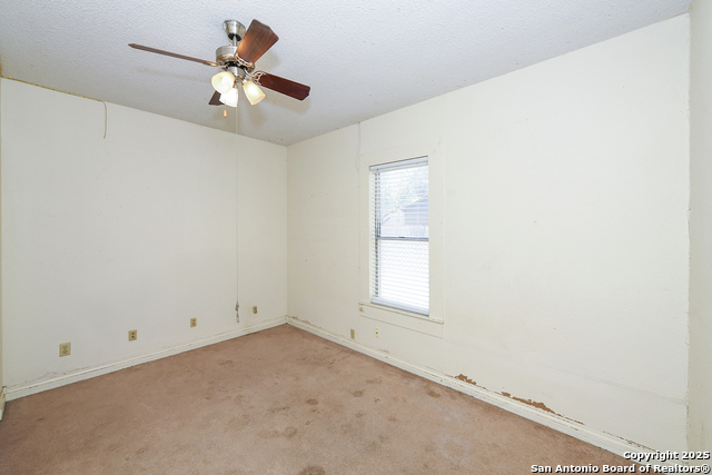 Image 19 of 28 For 242 Austin St. E