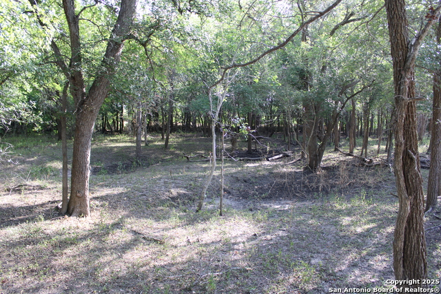 Listing photo id 10 for 760 N Greytown Rd