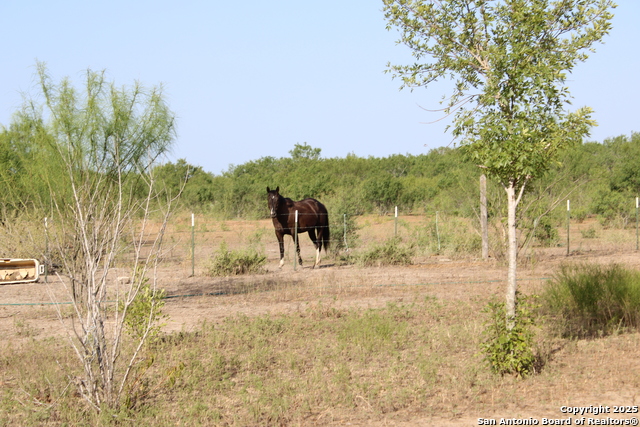 Listing photo id 2 for 760 N Greytown Rd