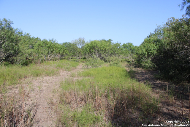 Listing photo id 6 for 760 N Greytown Rd