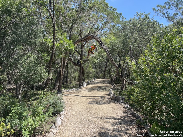 Listing photo id 32 for 251 County Road 246