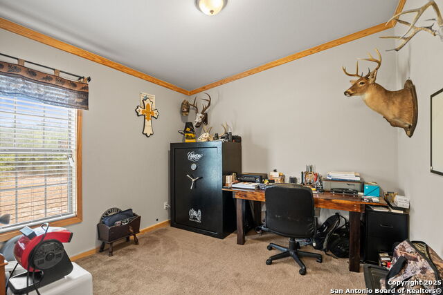 Image 15 of 33 For 315 Austin  