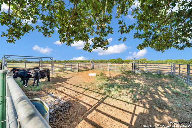 Listing photo id 36 for 16020 Fm 463