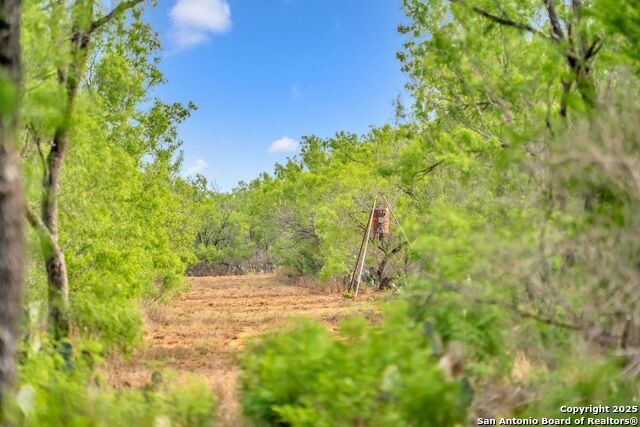 Listing photo id 10 for 2654 Matthews Ranch Road