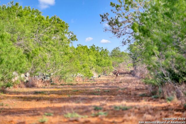 Listing photo id 11 for 2654 Matthews Ranch Road