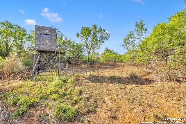 Listing photo id 23 for 2654 Matthews Ranch Road