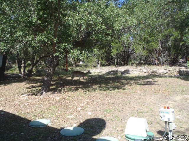 Image 17 of 37 For 1127 Eastview Dr