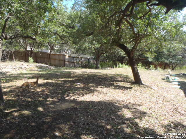 Image 19 of 37 For 1127 Eastview Dr