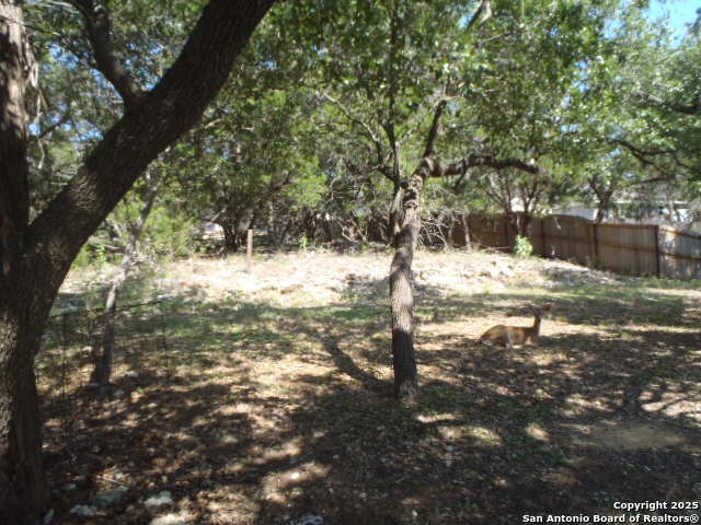 Image 20 of 37 For 1127 Eastview Dr