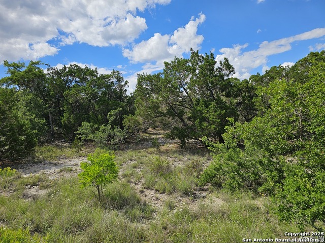 Image 12 of 24 For Pr 1747 Lot 347