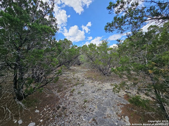 Image 14 of 24 For Pr 1747 Lot 347