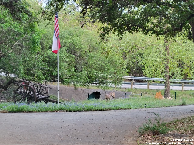 Listing photo id 34 for 1241 Village Top