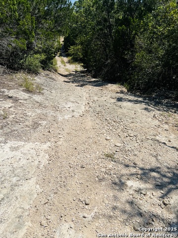 Listing photo id 12 for 0 Cr 408  