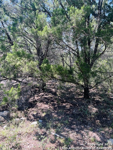 Listing photo id 14 for 0 Cr 408  