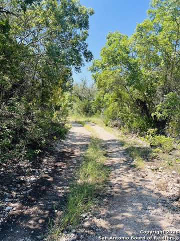 Listing photo id 16 for 0 Cr 408  