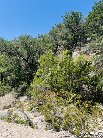 Listing photo id 17 for 0 Cr 408  