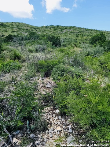 Listing photo id 0 for 0 Cr 408  