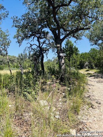 Listing photo id 18 for 0 Cr 408  